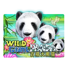 Joker123 : Wild Giant Panda - LETSEBET77